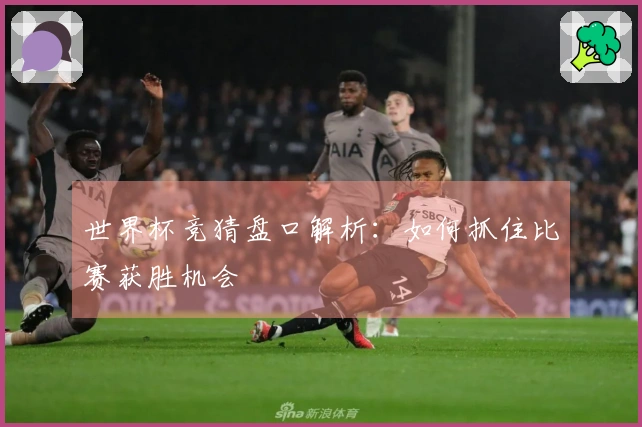 世界杯竞猜盘口解析：如何抓住比赛获胜机会