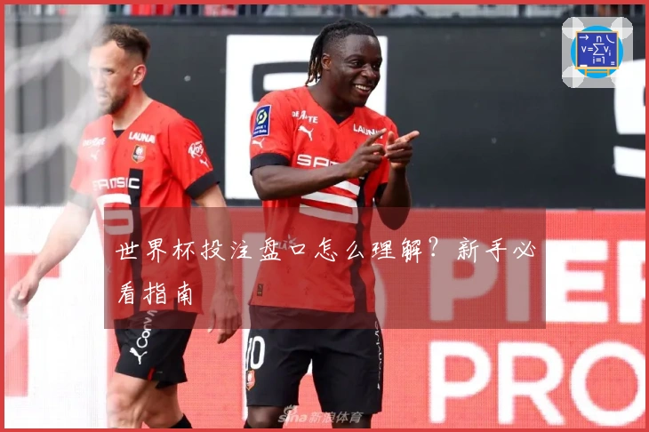 世界杯投注盘口怎么理解？新手必看指南