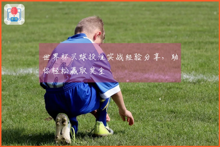 世界杯买球投注实战经验分享，助你轻松赢取奖金