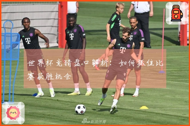 世界杯竞猜盘口解析：如何抓住比赛获胜机会